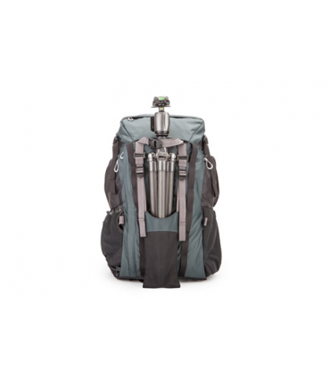 Rotation180 Professional Standard