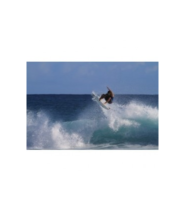 Contour Surf-Wake Mount