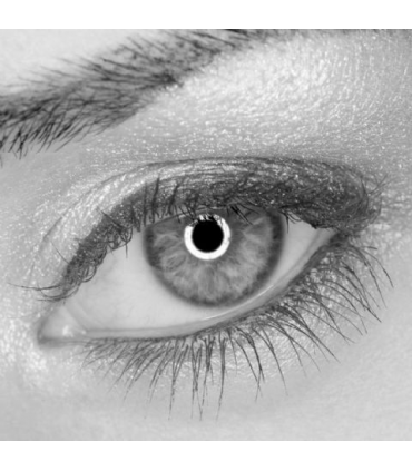 Lampa circulara cu led reglabila Falcon Eyes DVR-384DVC