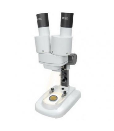 Byomic Beginners Stereo Microscope 20x