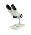 Byomic Stereo Microscope BYO-ST2