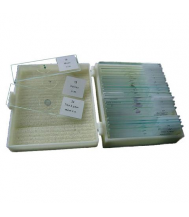 Byomic Case for 25 Preparates