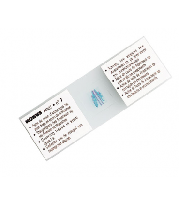 Konus Preparation Set Zoology 2 (25 Pcs)