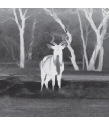 Camera termoviziune FLIR Scout III 640