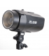 Blitz de Studio Falcon Eyes SS-250D