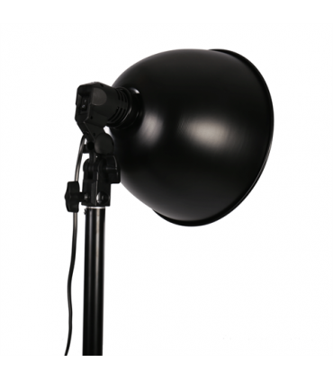 StudioKing Daylight Kit PK-KS11 2x85W