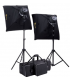 Kit lumina Continua cu Cuart Linkstar LQK-1000
