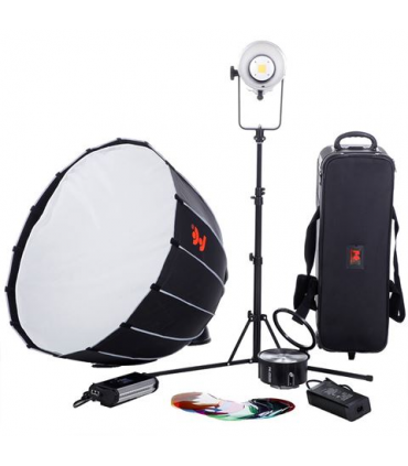 Falcon Eyes Bi-Color LED Lamp Kit Dimmable BL-30TD-K1