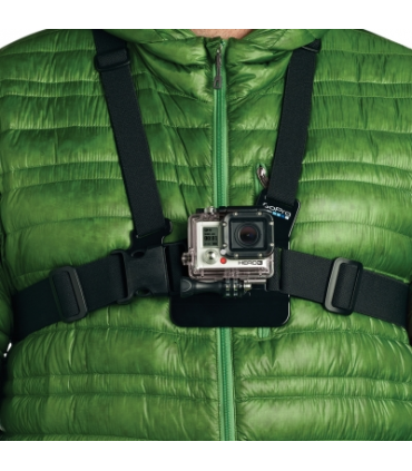 SISTEM PRINDERE LA PIEPT