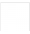 Fundal de hartie alb 01 artic 0.57x11 m