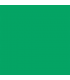 Fundal de hartie verde 46 chroma green 0.57x11