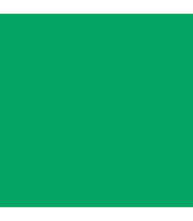Fundal de hartie verde 46 chroma green 0.57x11