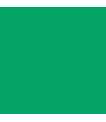Fundal de hartie verde 46 chroma green 0.57x11