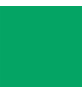 Fundal de hartie verde 46 Chroma Green 1.35x11 m