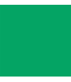 Fundal de hartie verde 46 Chroma Green 1.35x11 m
