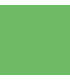 Fundal de hartie verde 46 chroma green 0.57x11 m