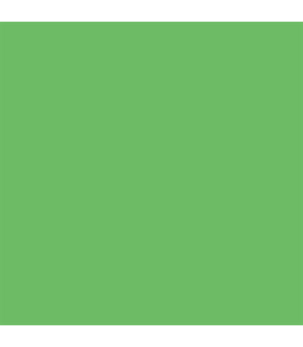 Fundal de hartie verde 46 chroma green 0.57x11 m